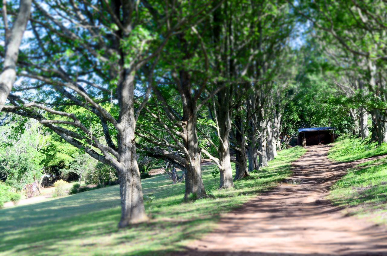 Phezulu Safari Park Villa Botha's Hill Buitenkant foto