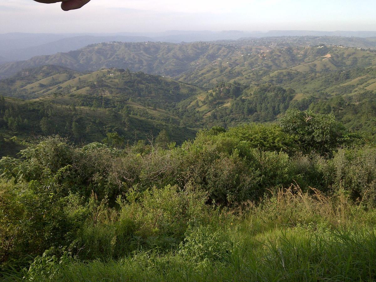 Phezulu Safari Park Villa Botha's Hill Buitenkant foto