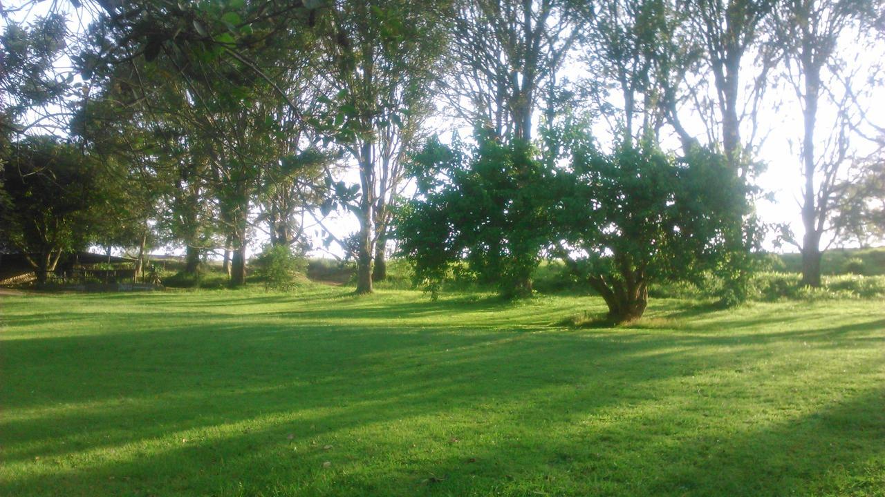 Phezulu Safari Park Villa Botha's Hill Buitenkant foto
